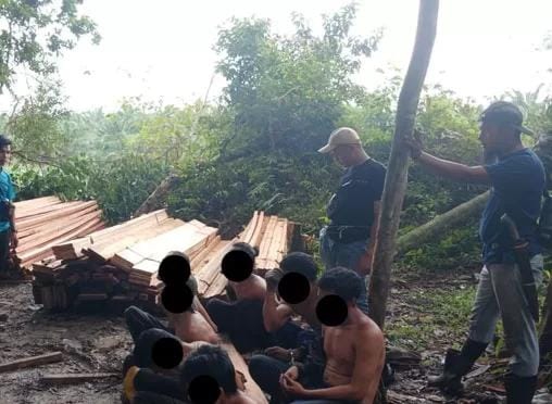 Polsek Singingi Hilir Gerebek Sindikat Illegal Logging di SM Rimbang Baling, 7 Pelaku Diciduk!