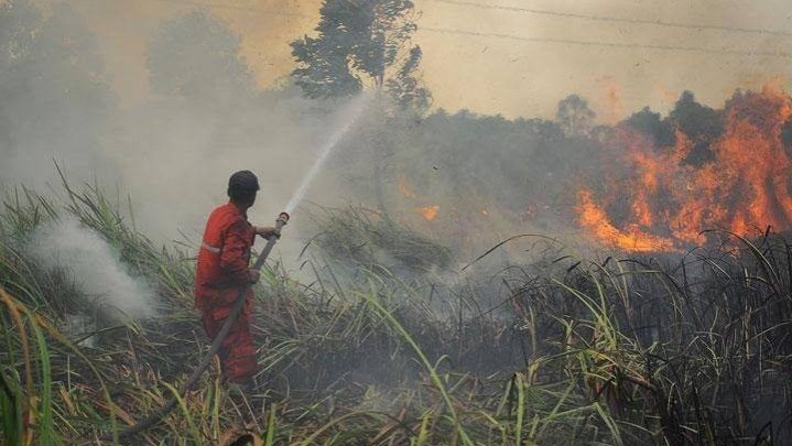 Gawat! 214 Titik Panas Kepung Pulau Sumatera