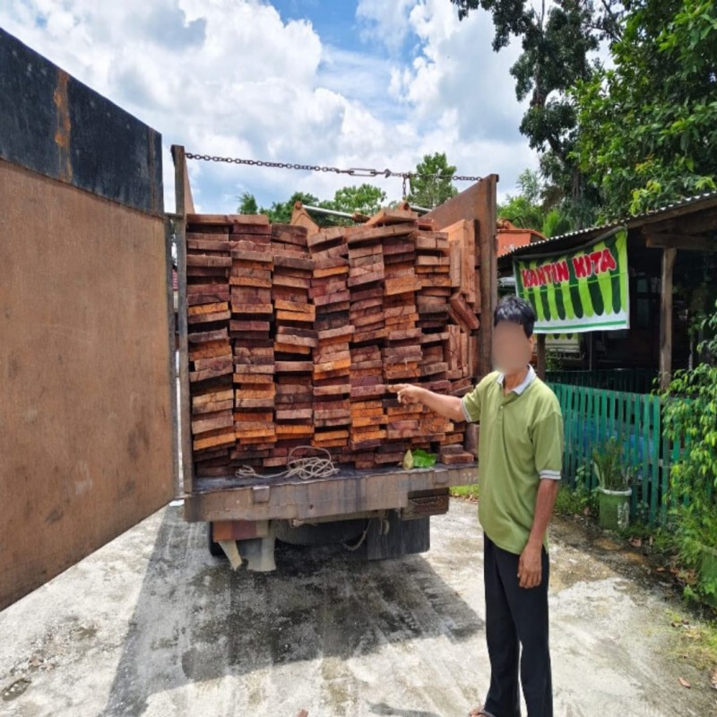 Gakkum Kehutanan Bongkar Peredaran Kayu Ilegal dari Suka Margasatwa Kerumutan