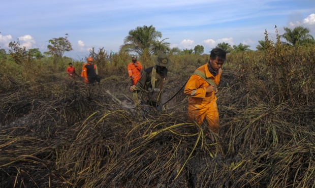 Patroli Asap Kebakaran Hutan terus Dipantau Untuk Suksesnya Asian Games