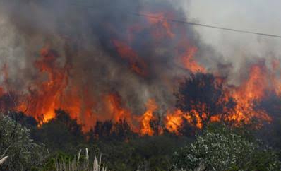 681 Hektar Lahan di Riau Terbakar Sejak Januari-Juni 2024