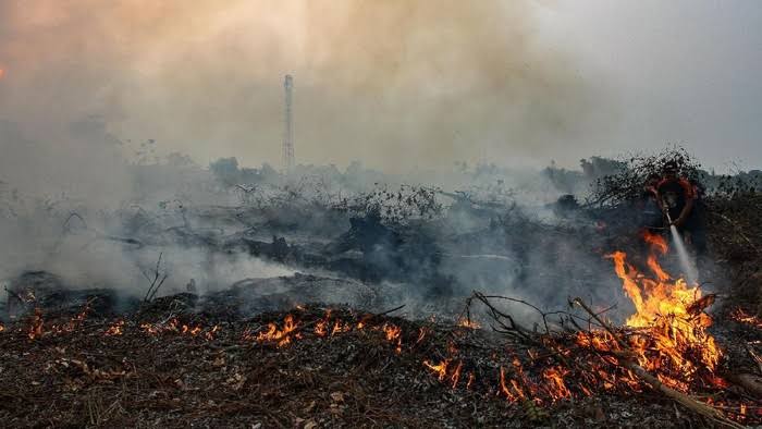 Polda Riau Tangkap 18 Terduga Pelaku Karhutla