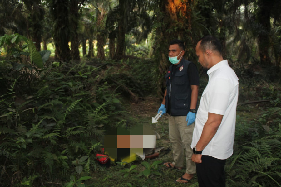Pria Lansia di Bangkinang Ditemukan Tewas di Kebun Sawit Miliknya