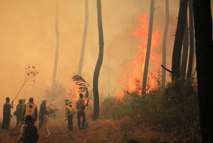 Kebakaran Hutan Gunung Ciremai makin meluas, Hari ini sampai 900 hektare