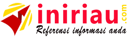 Logo iniriau.com